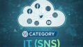 IT(SNS)スキル